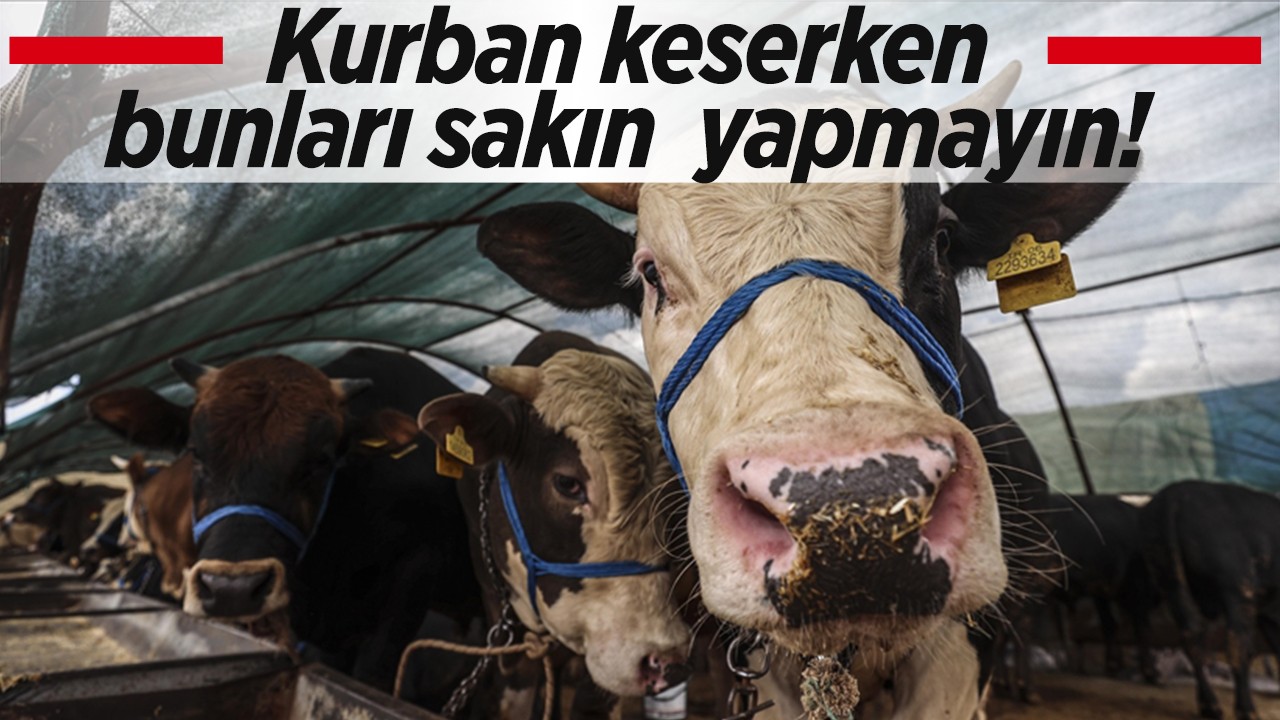 Kurban keserken bunları sakın  yapmayın!