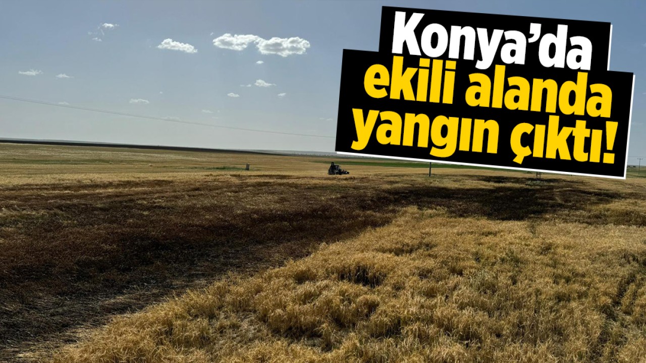 Konya'da ekili alanda yangın çıktı!
