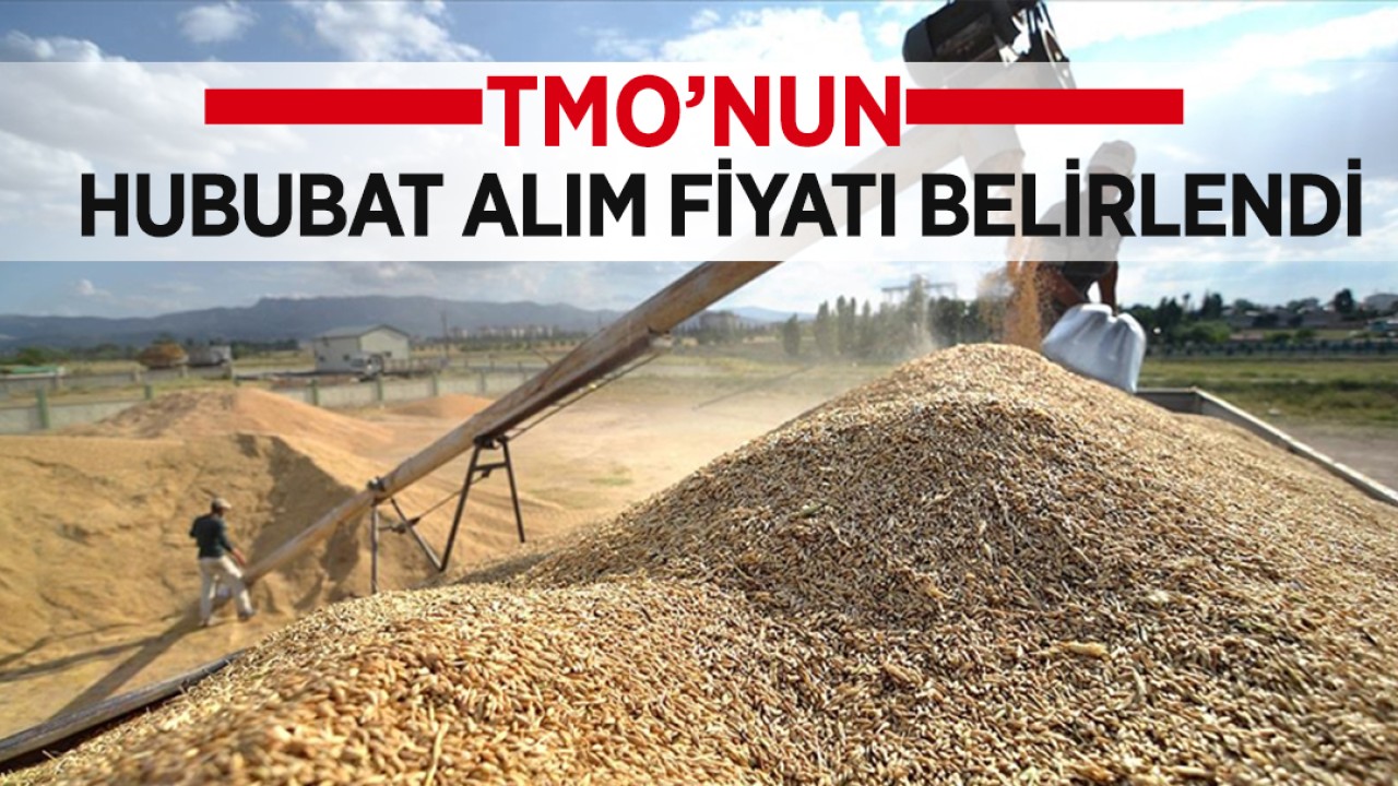 TMO'nun hububat alım fiyatları belirlendi