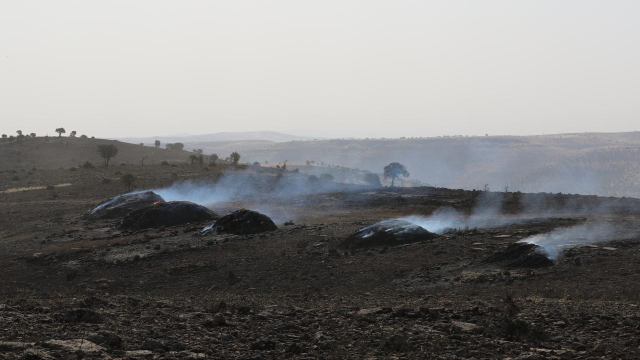 Diyarbakır ve Mardin arasındaki anız yangınında hayatını kaybedenlerin sayısı 11'e yükseldi