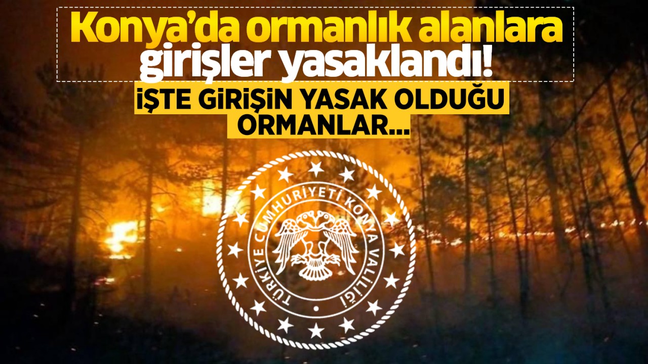 Konya’da ormanlık alanlara girişler yasaklandı! İşte girişin yasak olduğu ormanlar