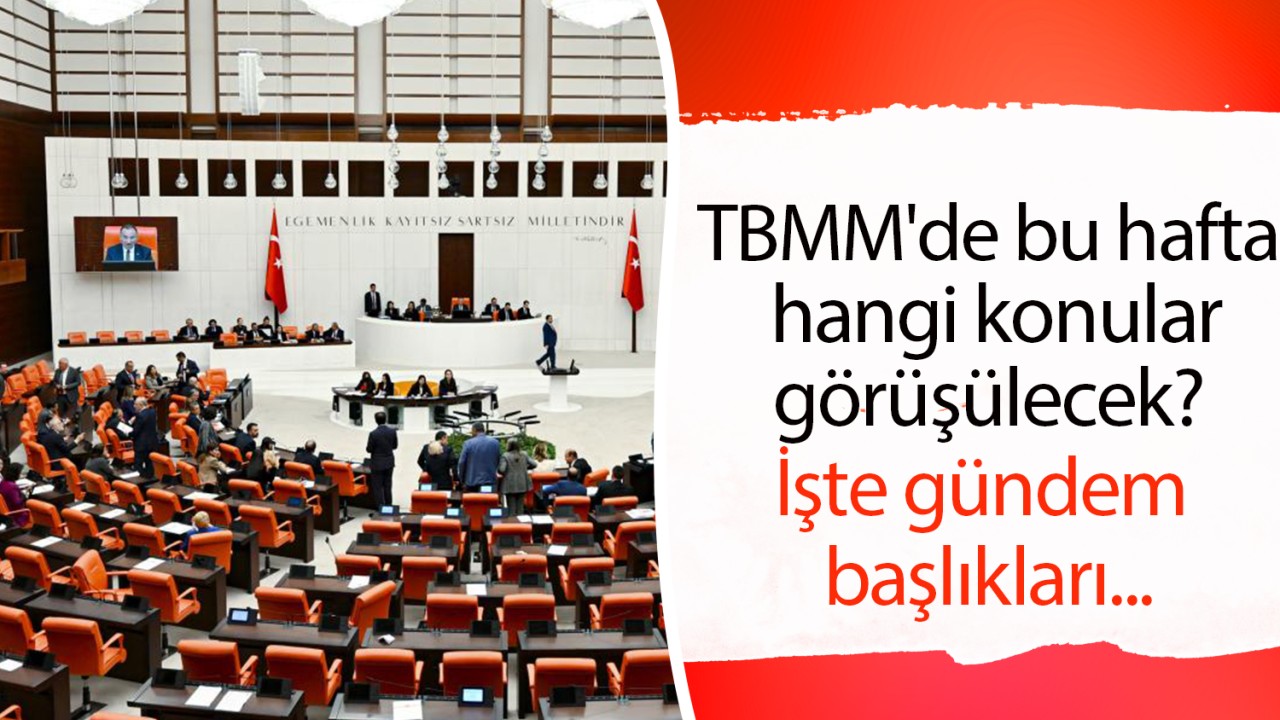 TBMM'de bu hafta hangi konular görüşülecek? İşte gündem başlıkları...