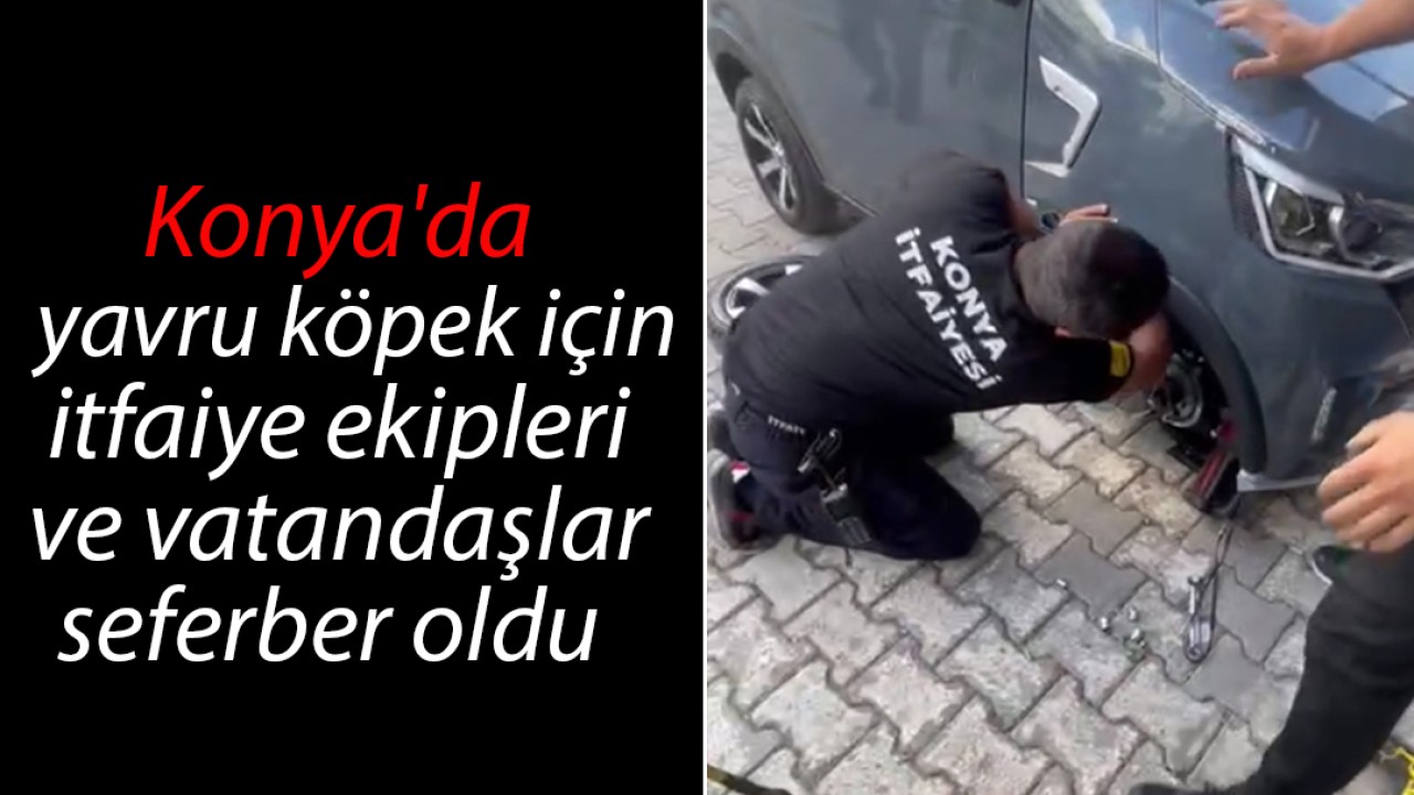 Konya'da  yavru köpek için itfaiye ekipleri ve vatandaşlar seferber oldu