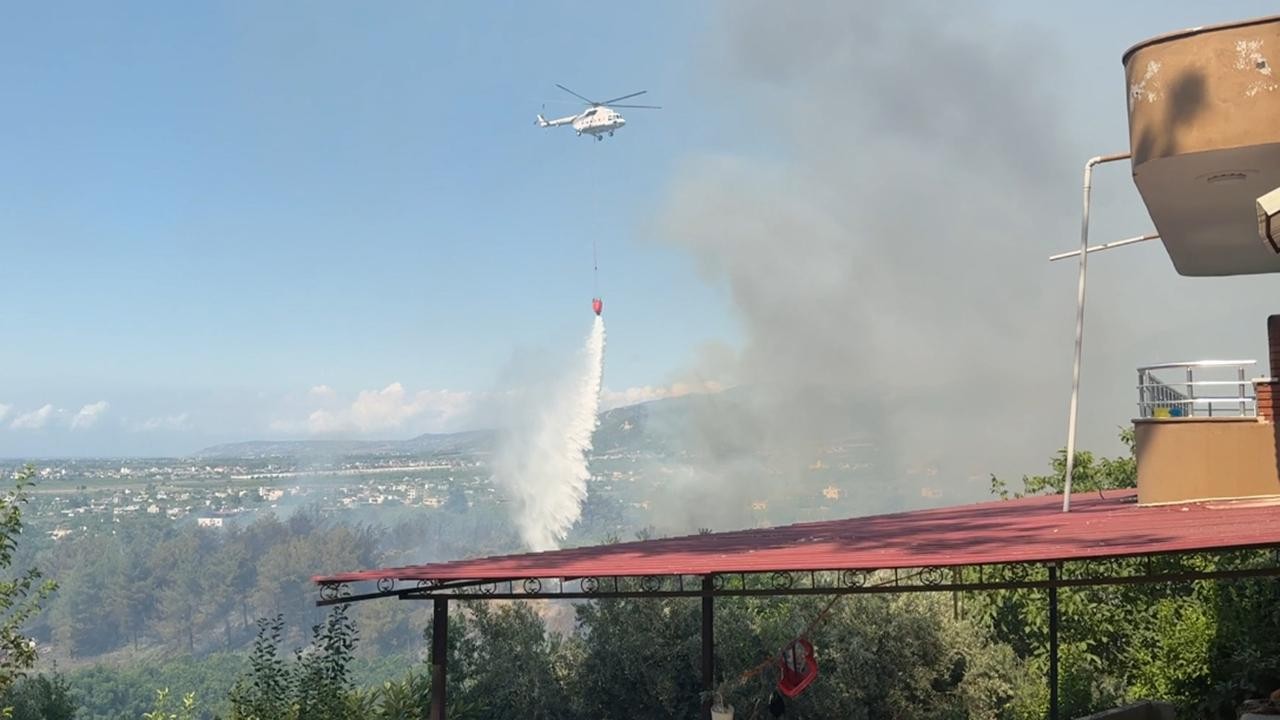 Hatay'da orman yangını