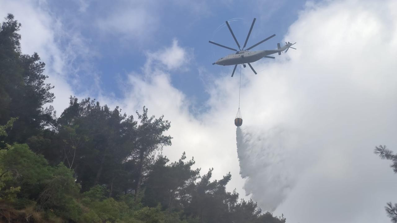 Hatay'da orman yangını