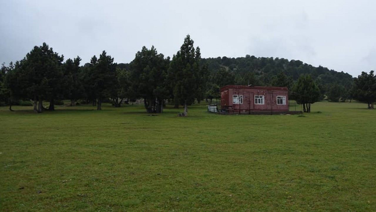 Konya’daki bu yaylayı henüz kimse keşfetmedi! Tam 50 hektar…