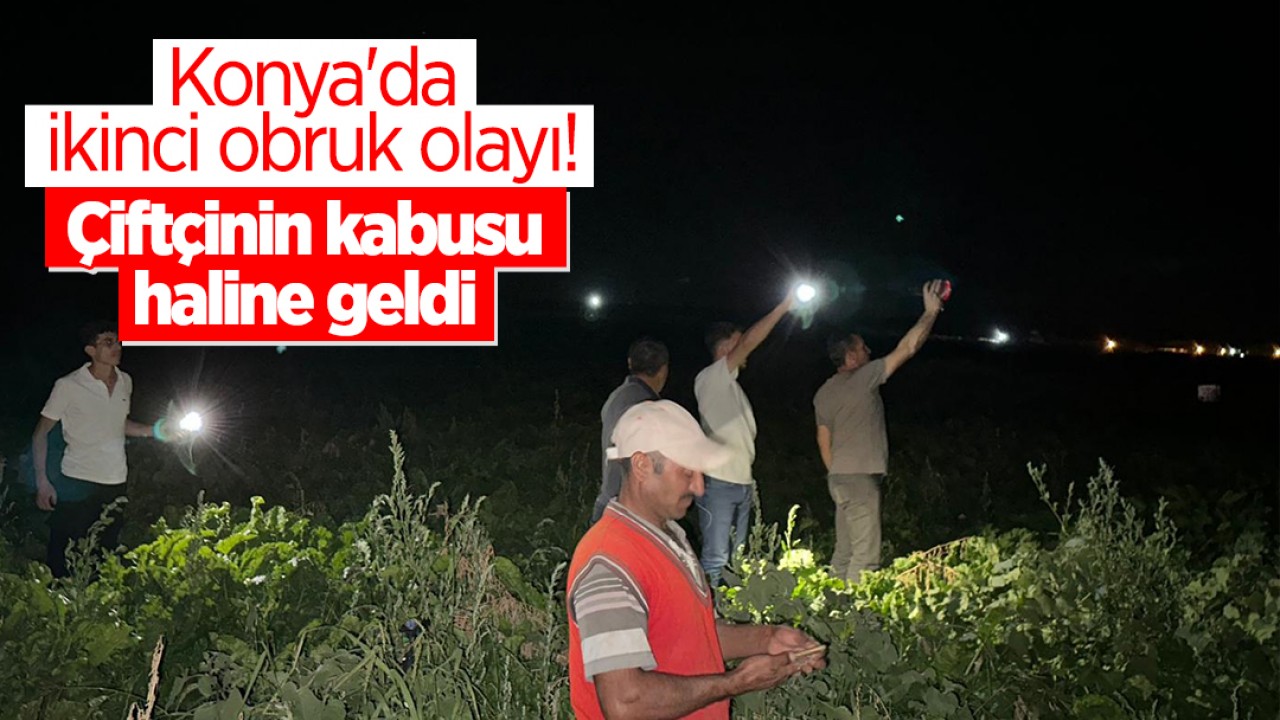 Konya'da ikinci obruk olayı! Çiftçinin kabusu haline geldi