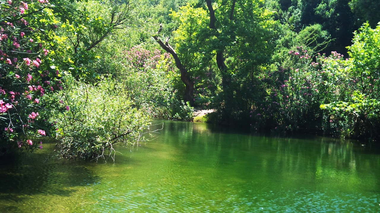 Bu mekan tam Konyalılara göre! Çok yakın mesafede