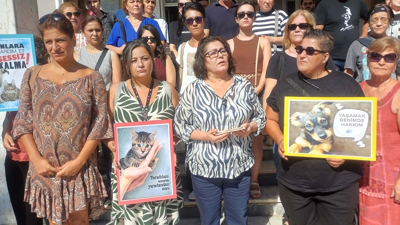 3 yavru kediyi, mutfağına girdiği için öldürmüş