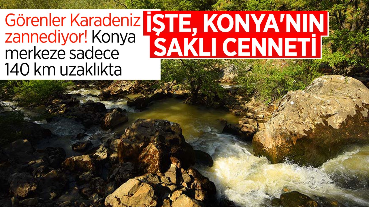 Görenler Karadeniz zannediyor! Konya merkeze sadece 140 km uzaklıkta: İşte, Konya'nın saklı cenneti