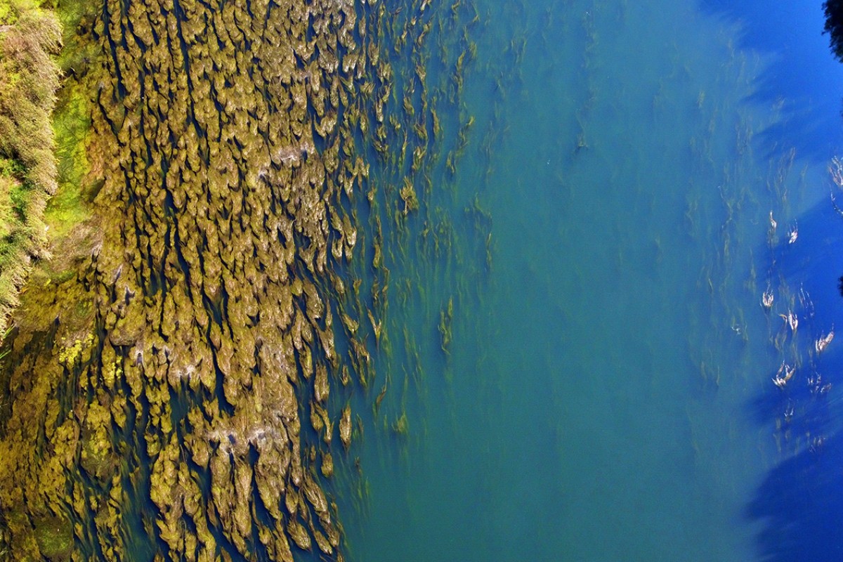 Ceyhan Nehri’nde sonbahar