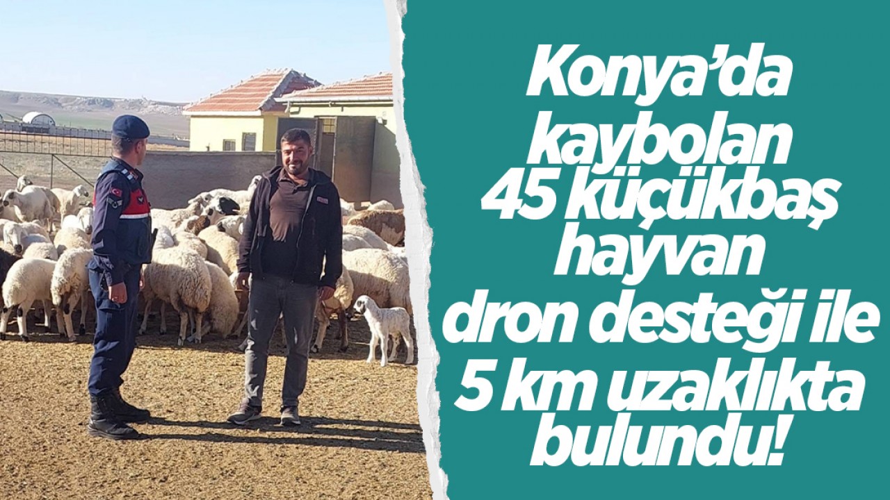Konya'da kaybolan 45 küçükbaş hayvan dron desteği ile 5 km uzaklıkta bulundu!
