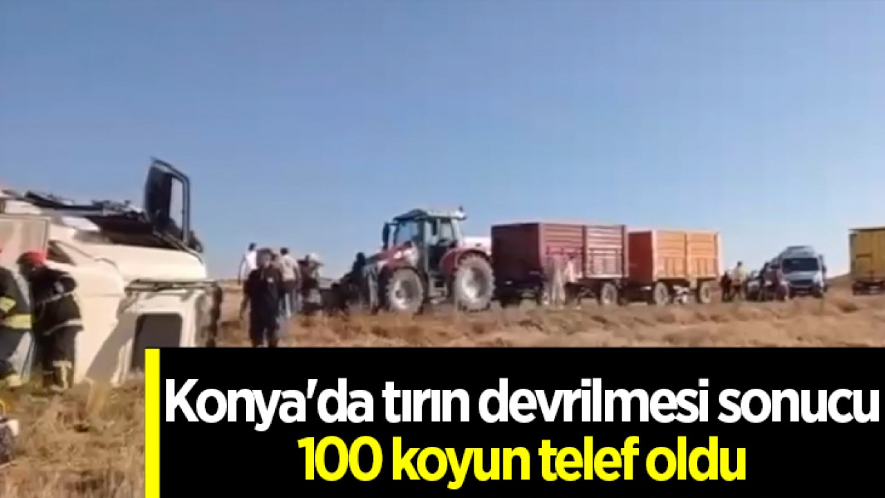 Konya'da tırın devrilmesi sonucu 100 koyun telef oldu