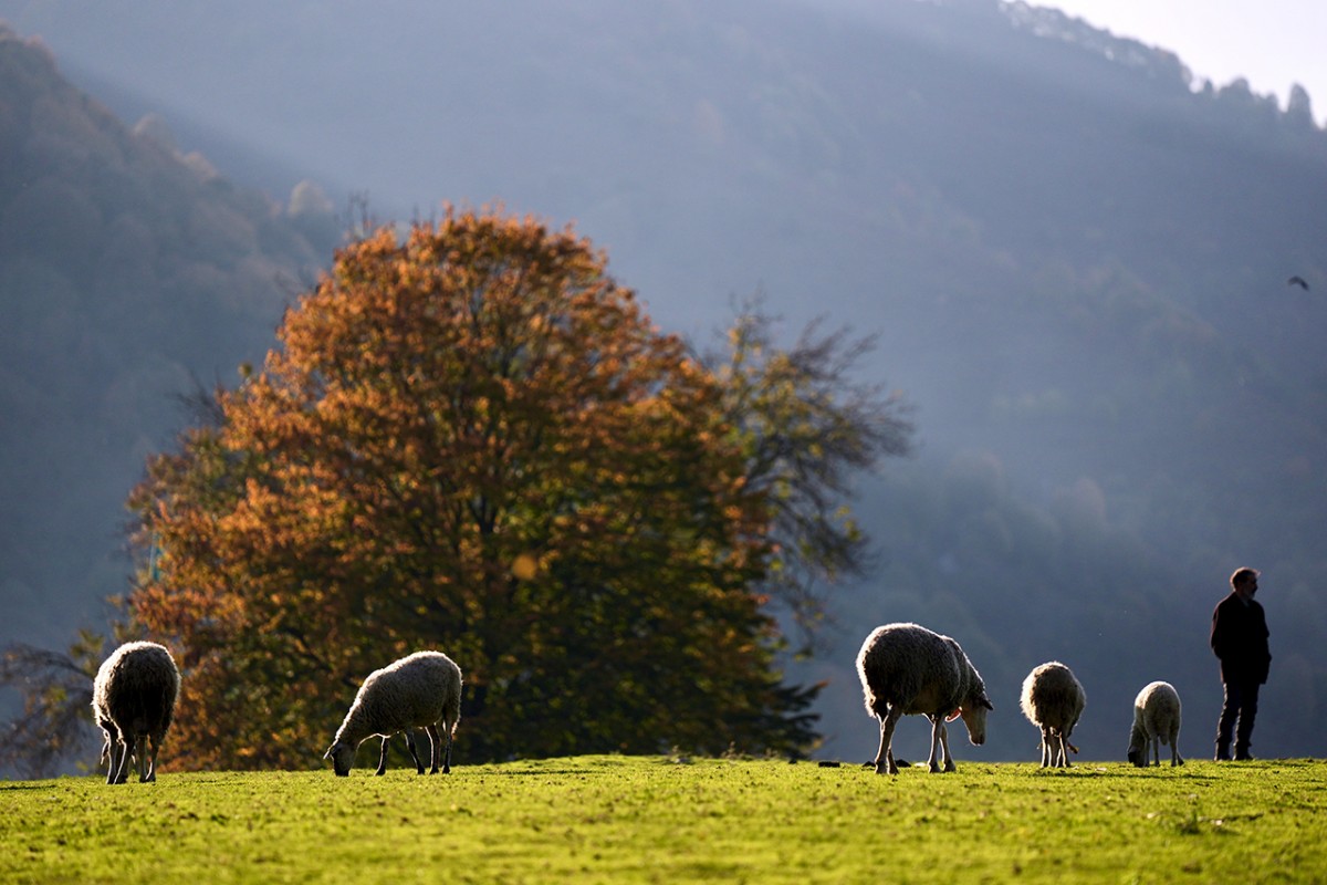 Güzeldere Şelalesi Tabiat Parkı’nda sonbahar