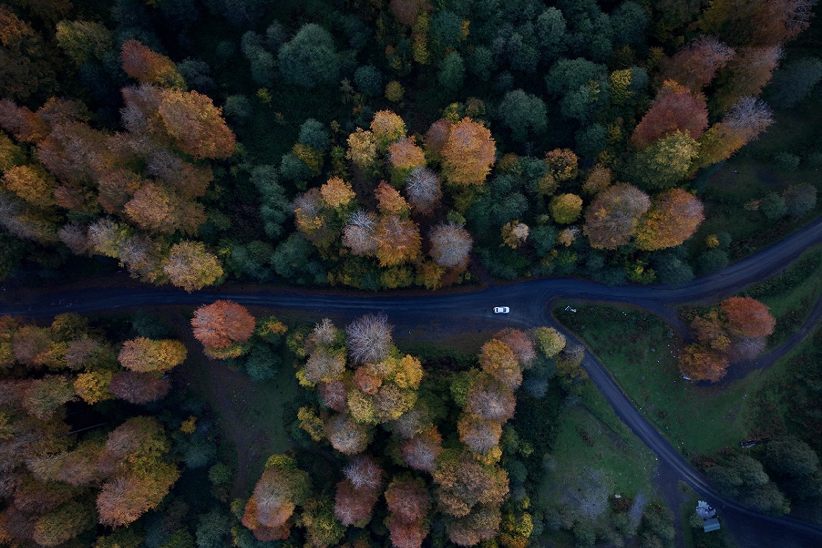 Samsun’da Nebiyan Dağı sonbahar renklerine büründü
