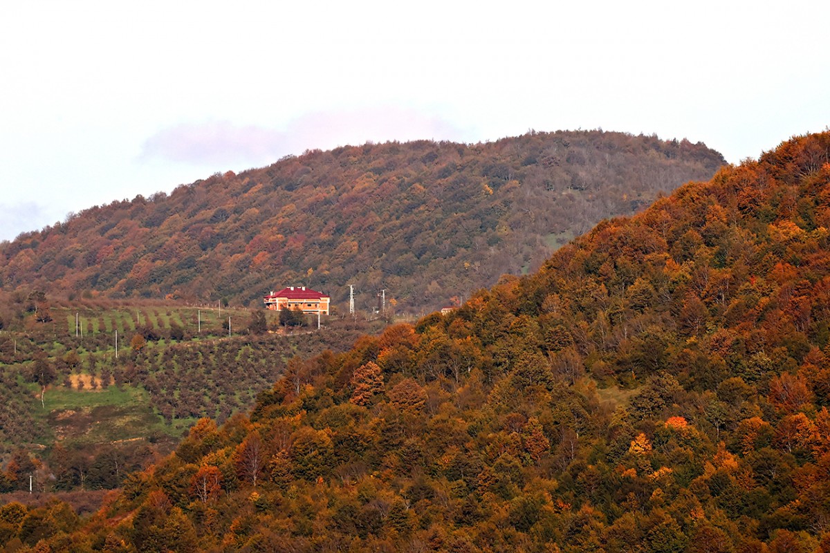Samsun’da Nebiyan Dağı sonbahar renklerine büründü