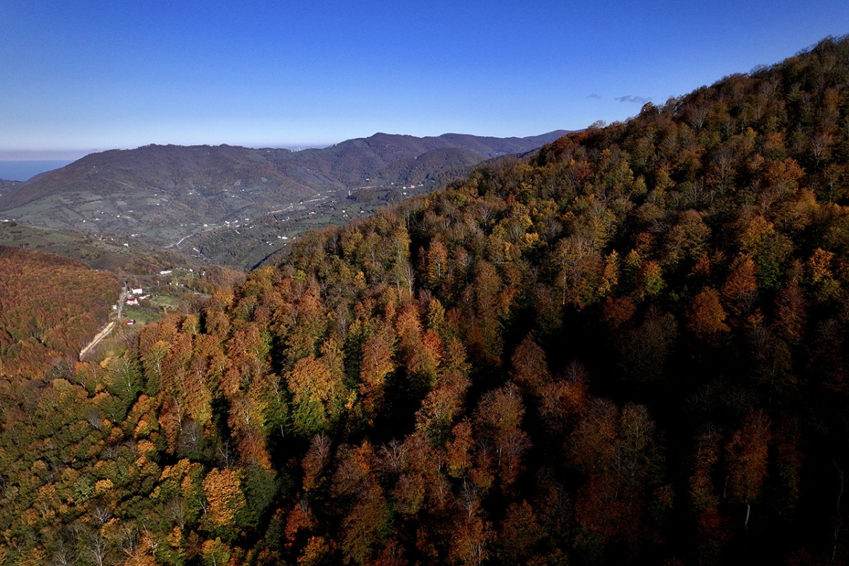 Samsun’da Nebiyan Dağı sonbahar renklerine büründü
