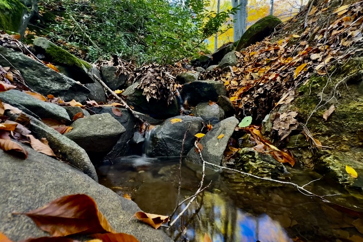Samsun’da Nebiyan Dağı sonbahar renklerine büründü