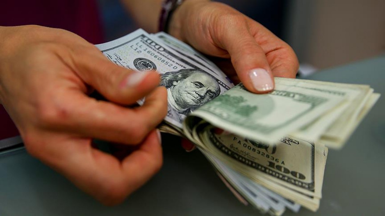 Serbest piyasada döviz açılış fiyatları