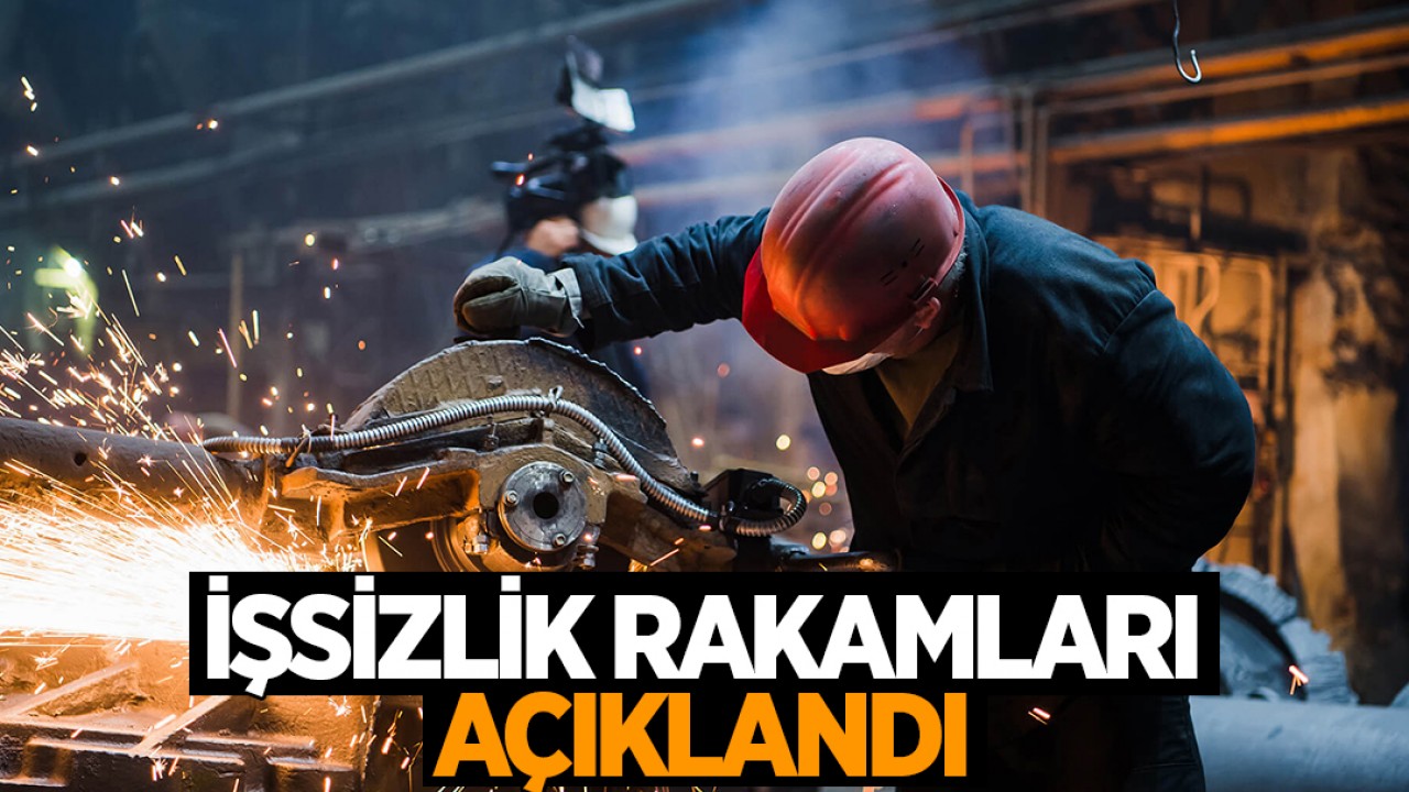 İşsizlik rakamları açıklandı