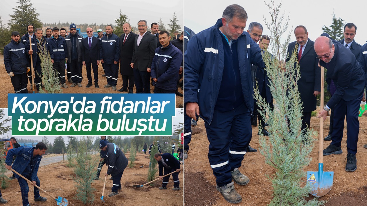 Konya'da fidanlar toprakla buluştu