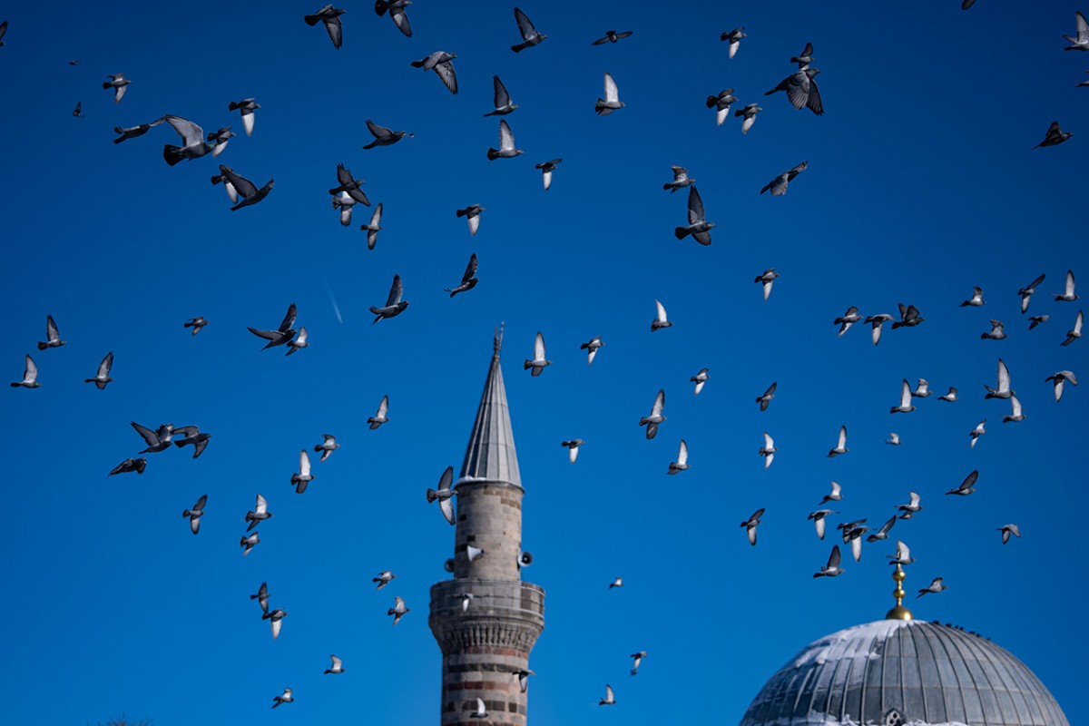 Tarihi mekanların sürekli misafirleri güvercinler