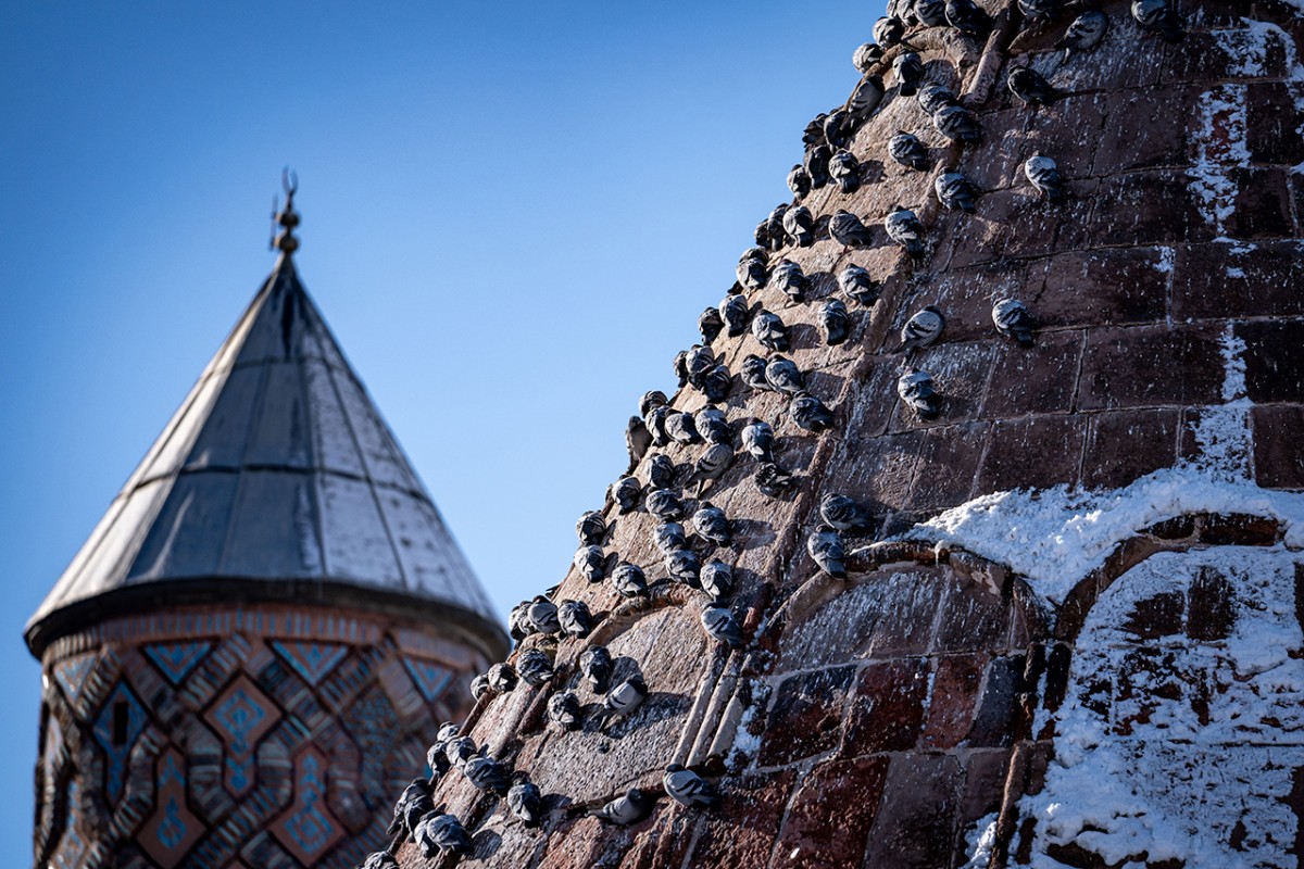Tarihi mekanların sürekli misafirleri güvercinler