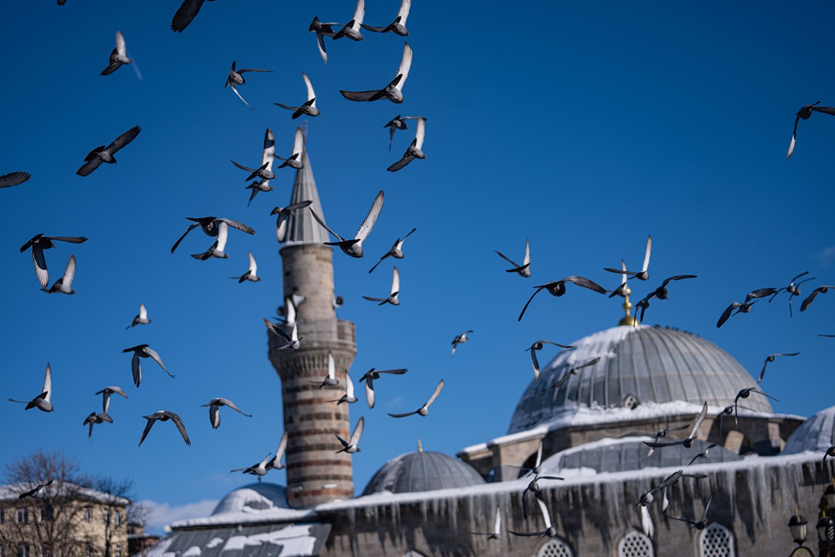 Tarihi mekanların sürekli misafirleri güvercinler