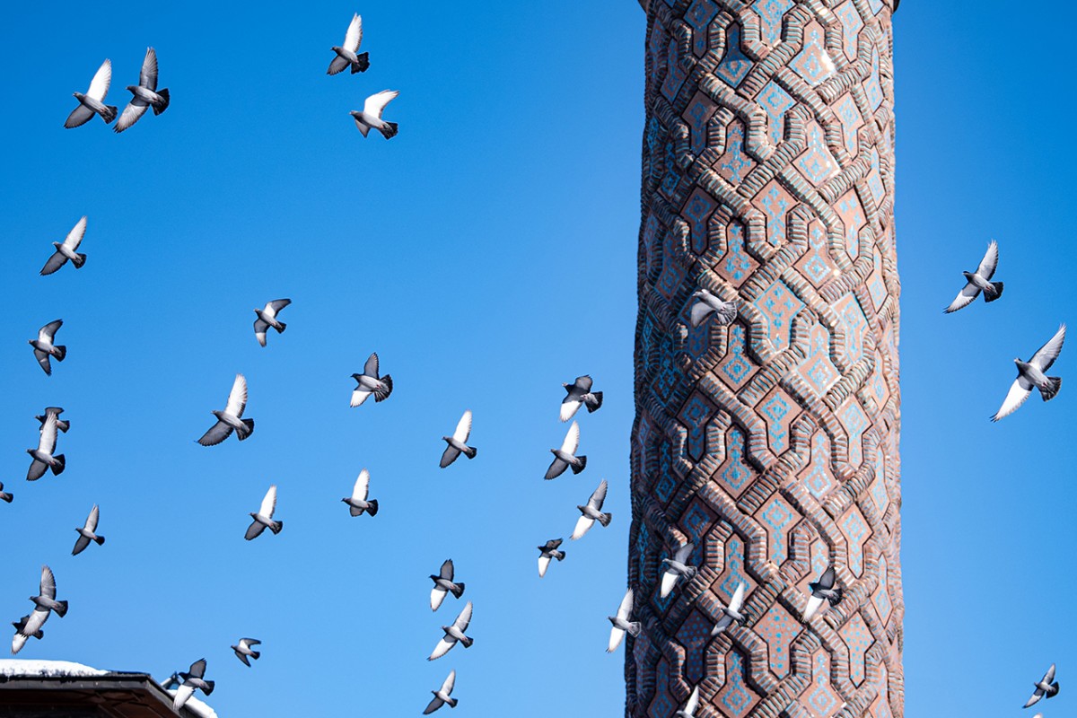 Tarihi mekanların sürekli misafirleri güvercinler