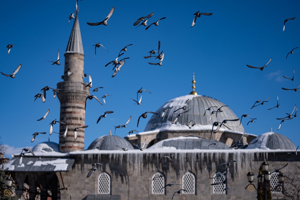 Tarihi mekanların sürekli misafirleri güvercinler