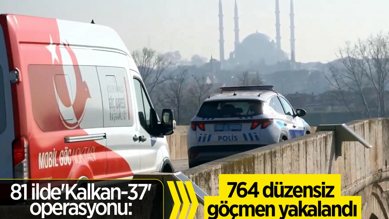 81 ilde'Kalkan-37' operasyonu: 764 düzensiz göçmen yakalandı