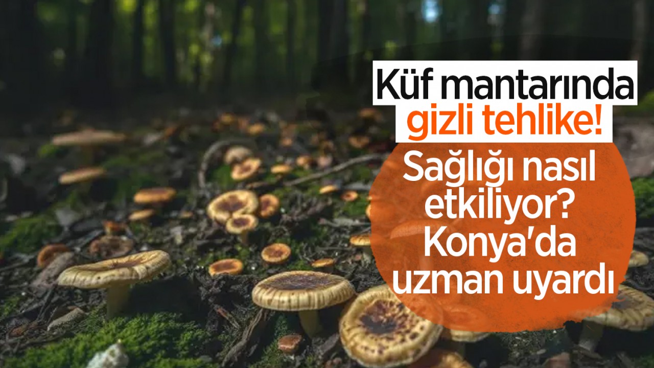 Küf mantarında gizli tehlike! Sağlığı nasıl etkiliyor? Konya'da uzman uyardı