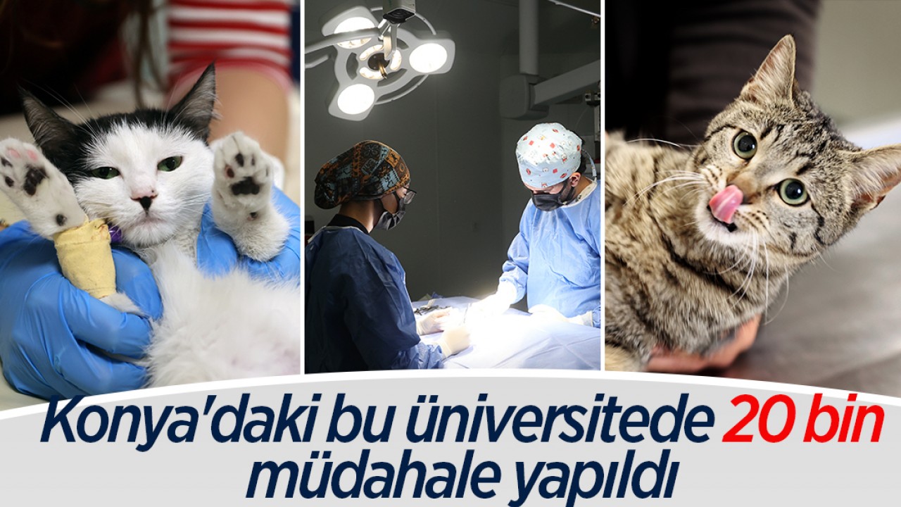 Konya'daki bu üniversitede 20 bin müdahale yapıldı