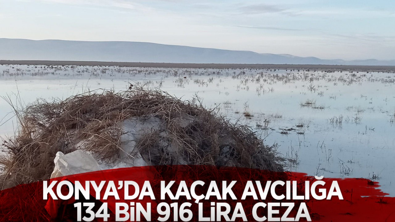 Konya'da kaçak avcılığa 134 bin 916 lira ceza