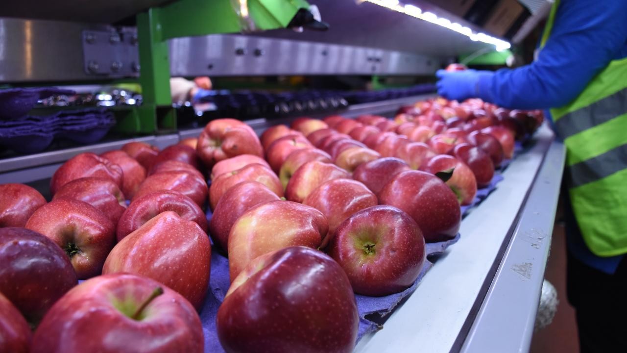 Devlet desteğiyle kurduğu tesisle 21 ülkeye ihracat yapıyor