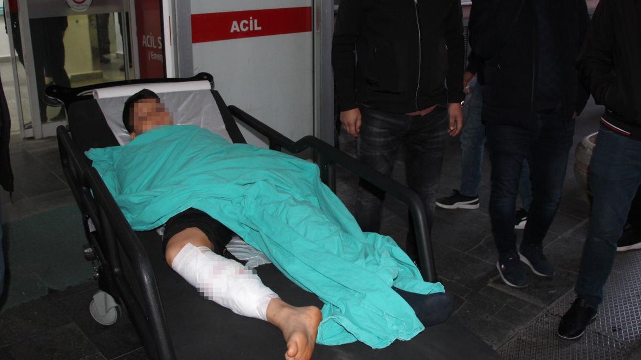 Pikniğe giden çocuğa başıboş köpekler saldırdı