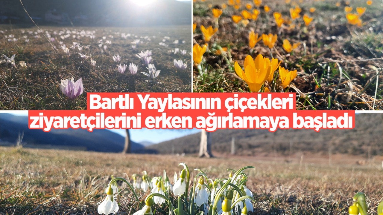 Bartlı Yaylasının çiçekleri ziyaretçilerini erken ağırlamaya başladı