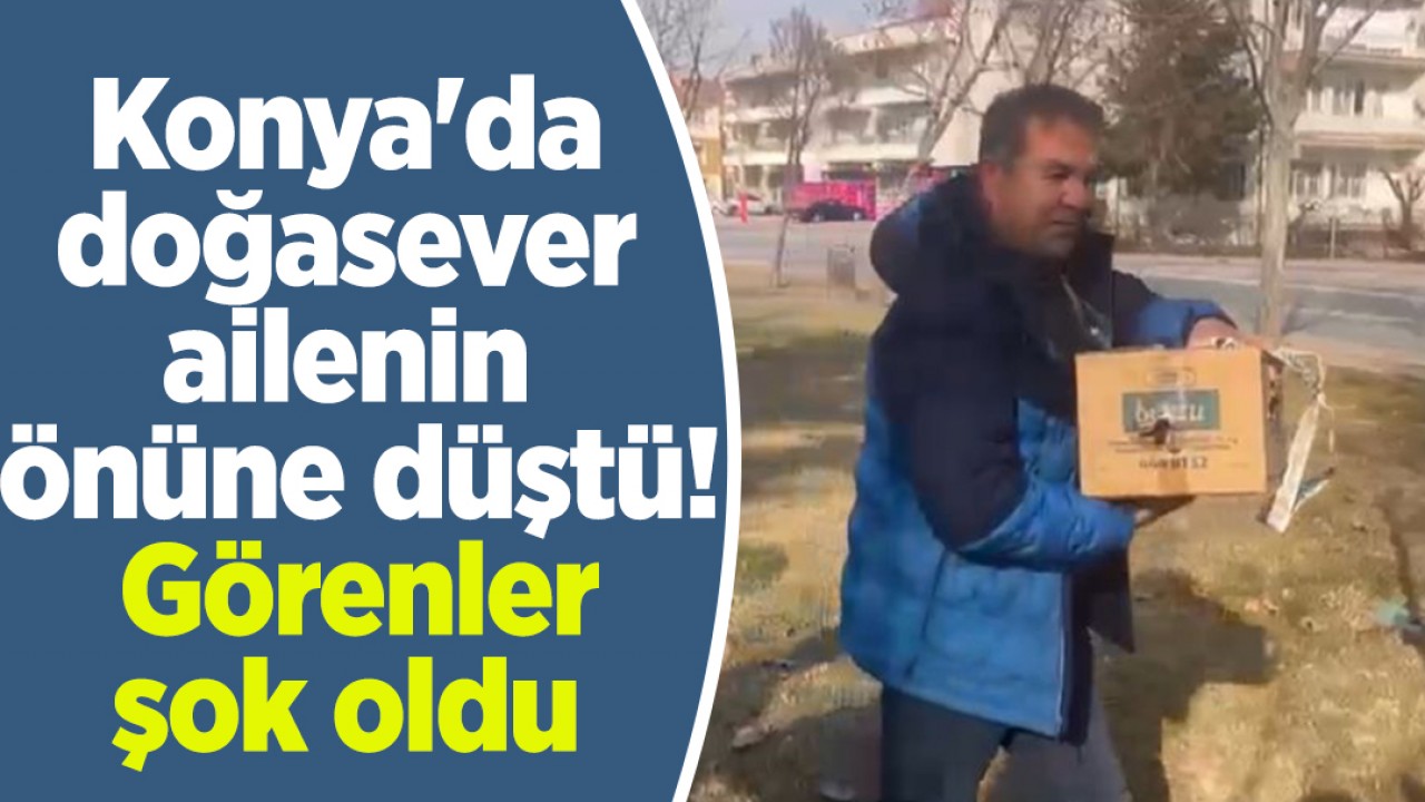 Konya'da doğasever ailenin önüne düştü! Görenler şok oldu