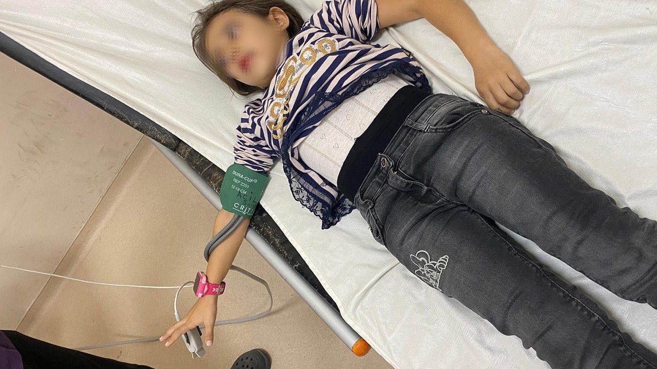 Okul bahçesinde beslenen köpekler, 9 yaşındaki öğrenciyi ısırdı