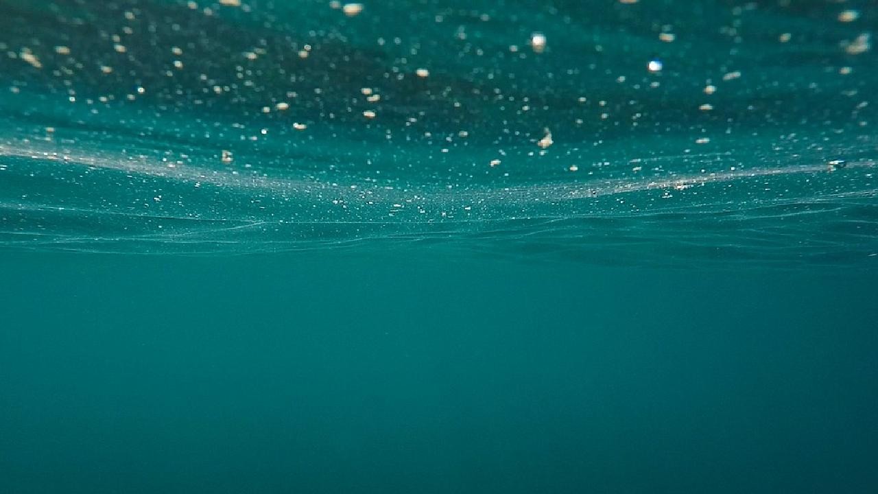 AB ülkelerinin yüzey sularının sadece yüzde 40'ından azı ekolojik standartları karşılıyor