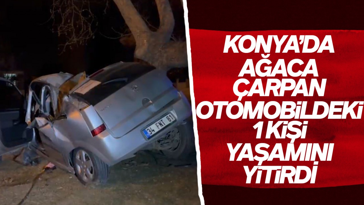 Konya'da ağaca çarpan otomobildeki 1 kişi yaşamını yitirdi