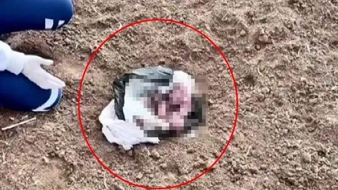 Poşet içerisinde yeni doğmuş kız bebek cesedi bulundu