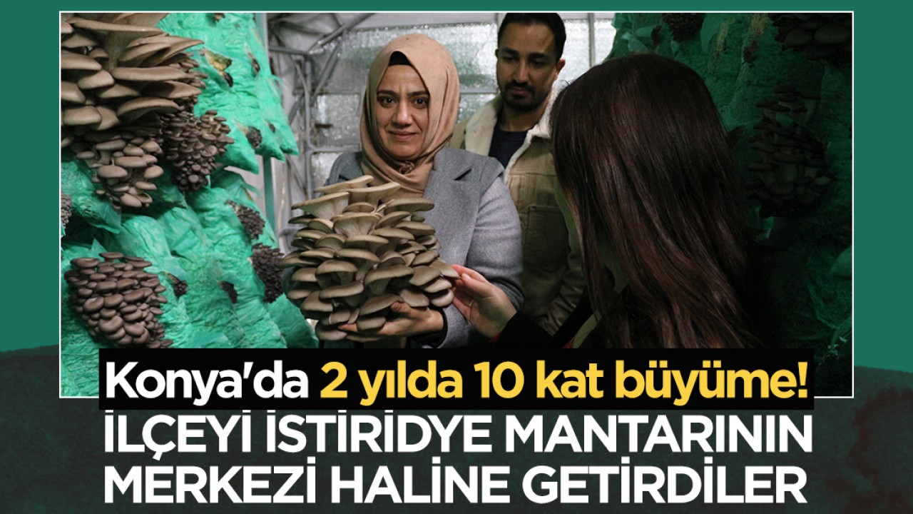 Konya'da 2 yılda 10 kat büyüme! İlçeyi istiridye mantarının merkezi haline getirdiler