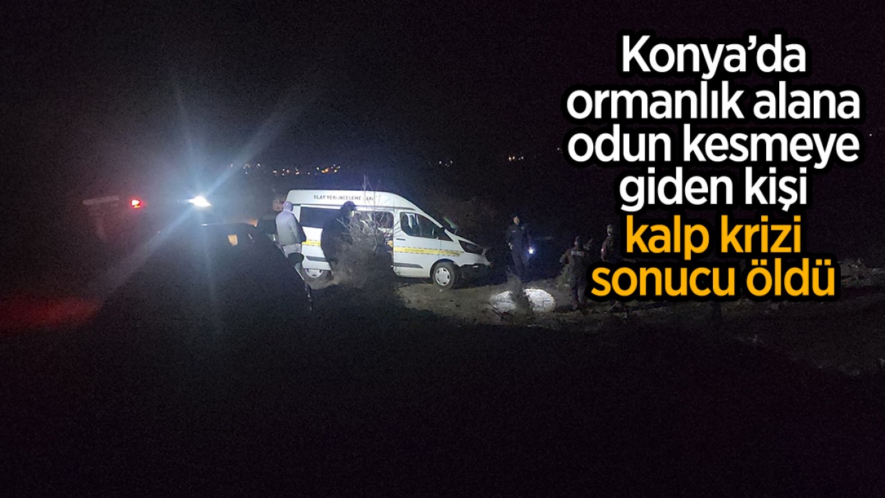 Konya'da ormanlık alana odun kesmeye giden kişi kalp krizi sonucu öldü