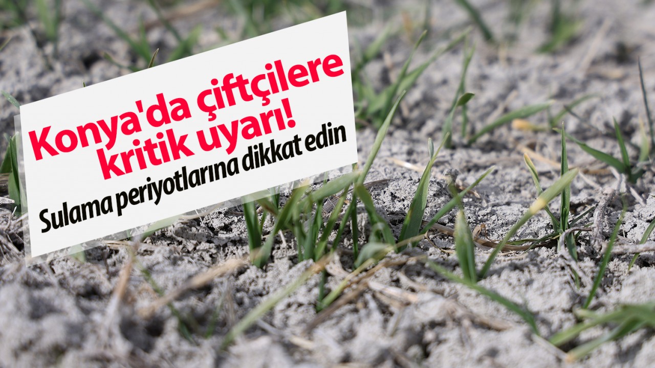 Konya'da çiftçilere kritik uyarı! Sulama periyotlarına dikkat edin