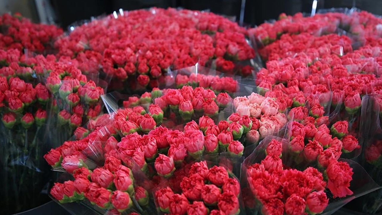 Dünya kadınlarına Türkiye'den 75 milyon dal çiçek