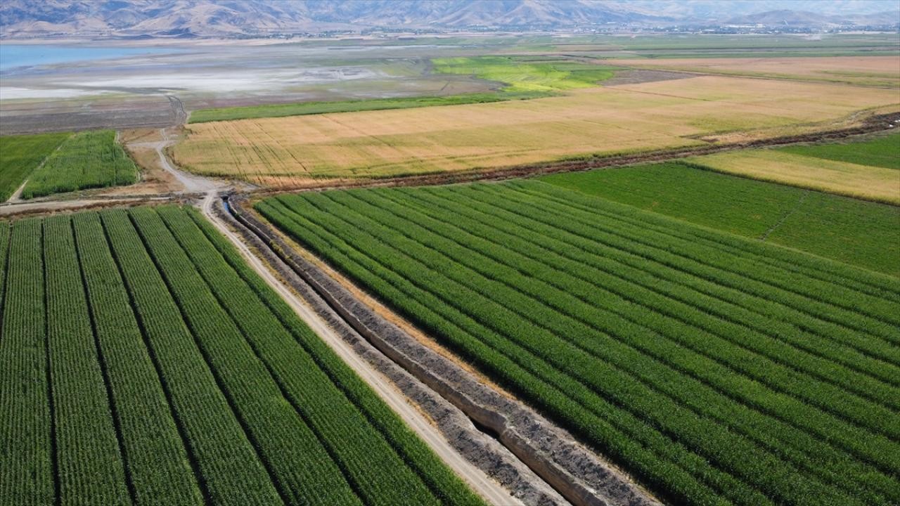 Çiftçilere 3,3 milyar lira destek ödemesi bugün yapılacak