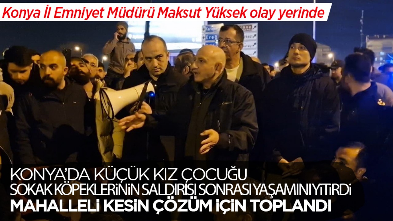 Konya'da küçük kız çocuğu sokak köpeklerinin saldırısı sonrası yaşamını yitirdi, mahalleli kesin çözüm için toplandı