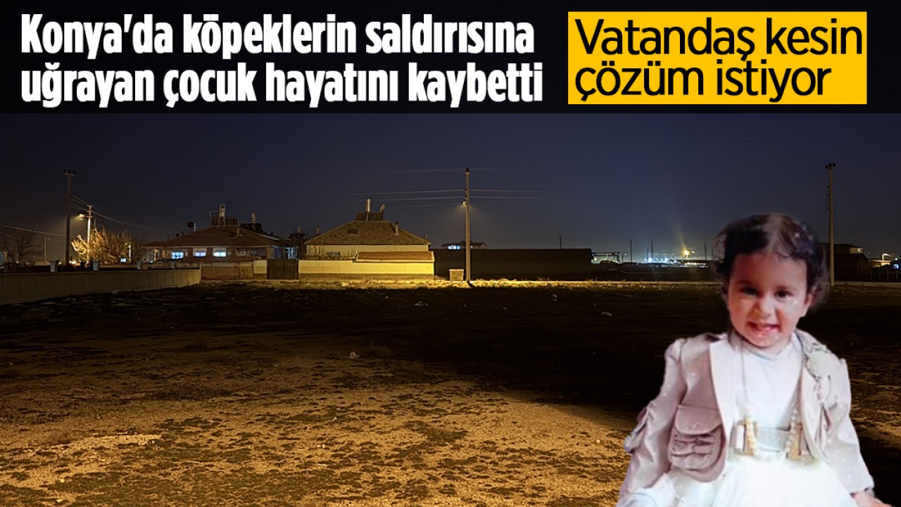 Konya'da köpeklerin saldırısına uğrayan çocuk hayatını kaybetti: Vatandaş kesin çözüm istiyor