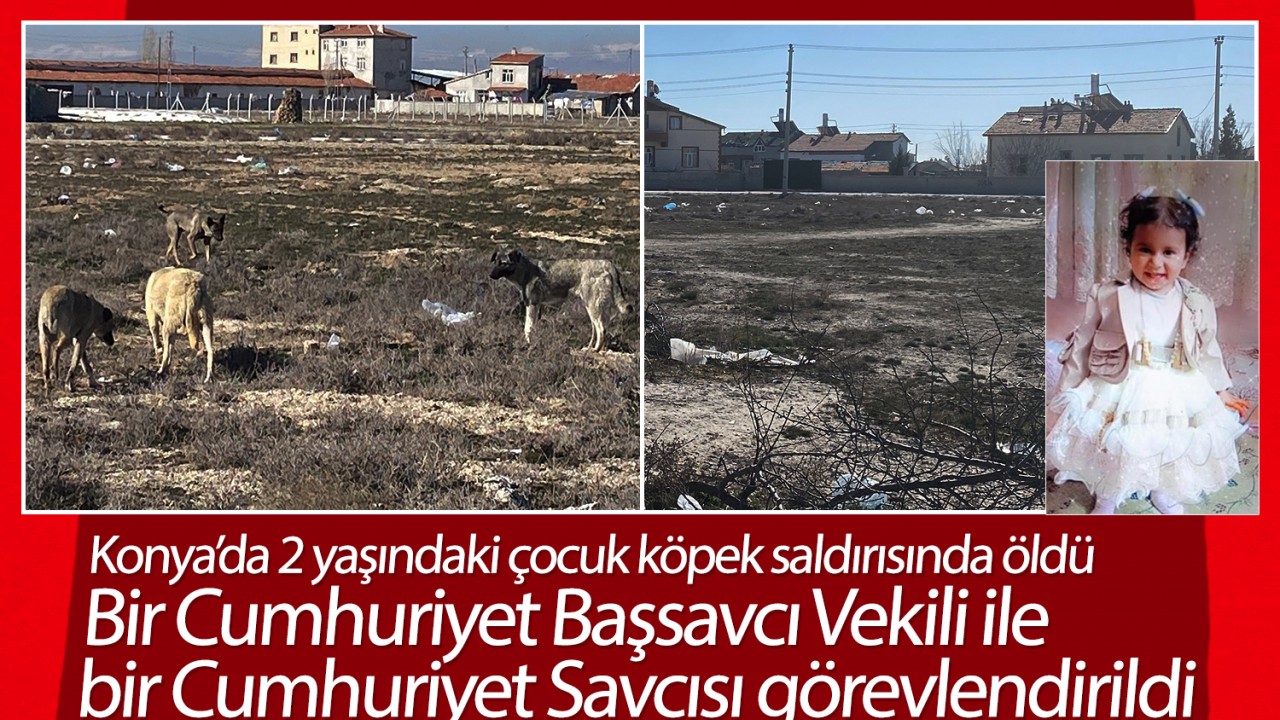 Konya’da 2 yaşındaki Rana köpek saldırısında öldü: Bir Cumhuriyet Başsavcı Vekili ile Cumhuriyet Savcısı görevlendirildi
